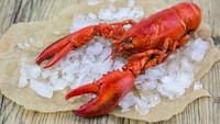 Siapa yang tidak suka seafood satu ini? Lobster mengandung seng yang cukup tinggi yang berkhasiat sebagai antiinflamasi yang dapat mengatasi gangguan kulit seperti jerawat. Serta mengandung zinc yang dapat mempercepat pembaharuan sel kulit. (Foto: iStock)