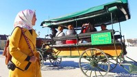 Wina memang menarik untuk disinggahi. Selain bangunan cantik di pusat kota, nama composer dunia seperti Franz Schubert, Johan Strauss, serta Wolfgang Amadeus Mozart menjadi daya tarik para pelancong untuk singgah di kota ini. Yoga Endryanto/TRANS7.