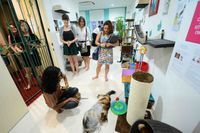 Pengunjung bisa bermain dengan kucing di museum