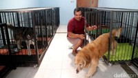 Di rumah woof woof ini dapat menampung sebanyak 36 anjing. Ruangannya pun terdiri dari AC dan Non AC.
