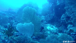 Mudik ke Sabang, Yuk Diving di Batee Tokong