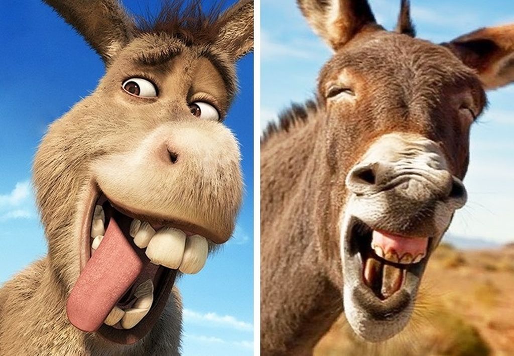 Lucu Karakter Animasi Vs Hewan Asli Di Dunia Nyata Foto 6