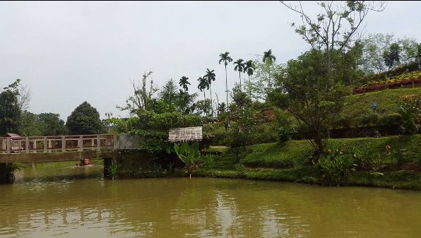 taman