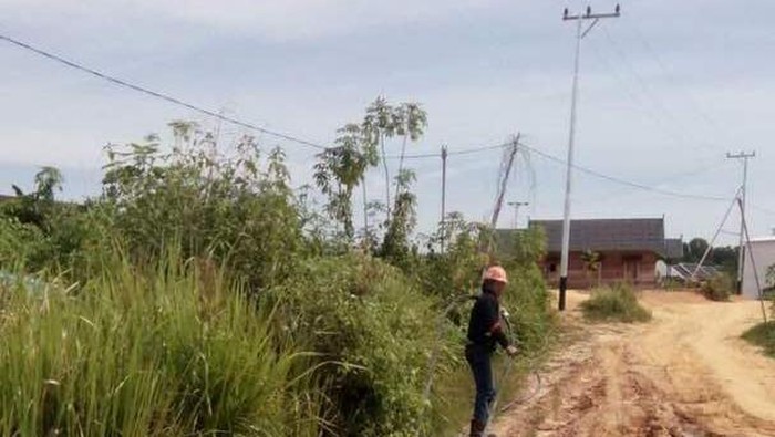 Berapa Biaya Melistriki Daerah Terpencil RI? Ini Kata PLN