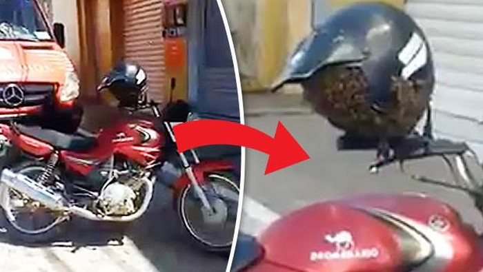 Helm Ini Dikerubungi Tawon Saat Ditaruh di Kaca Spion