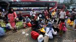 Djarot Lepas Mudik Gratis Wong Cilik