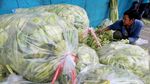 Saatnya Berburu Janur Ketupat Lebaran