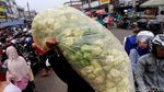 Saatnya Berburu Janur Ketupat Lebaran
