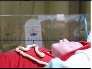 Atiqah Melahirkan, Ratna Sarumpaet Dapat Cucu Perempuan Pertama