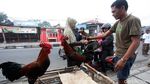 Daging dan Ayam Jadi Primadona