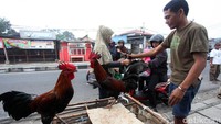 Mereka menjual ayam kampung yang banyak dicari warga.