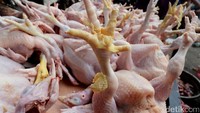 Permintaan ayam potong meningkat menjelang lebaran salah satunya untuk dibuat opor.
