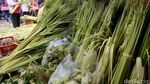 Saatnya Berburu Janur Ketupat Lebaran