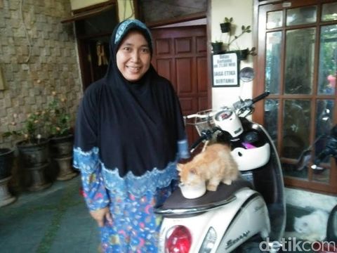 Pemilik kucing senang hewan kesayangannya selamat