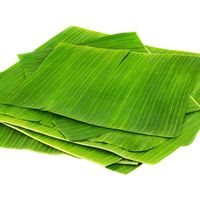 Mau Bikin Lontong Dalam 15 Menit? Ini Cara Praktisnya