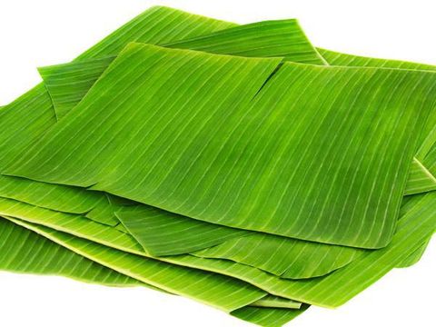 Daun Pisang