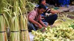 Lebaran Bawa Berkah Pedagang Kulit Ketupat