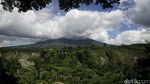 Panorama Ngarai Sianok