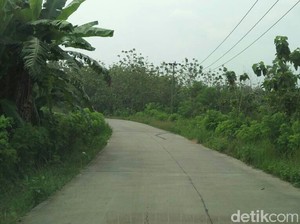 Nggak Mau Kena Macet di Tol Cikampek? Coba Lewat Cibarusah