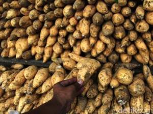 Petani Asal Wonosobo Raih Cuan dari Bertani Ubi Madu