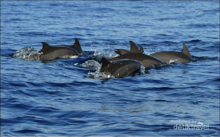 Menpar Ajak Pemudik Lampung Promosikan 10 Destinasi Ini