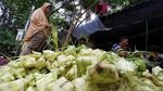 Lebaran Bawa Berkah Pedagang Kulit Ketupat
