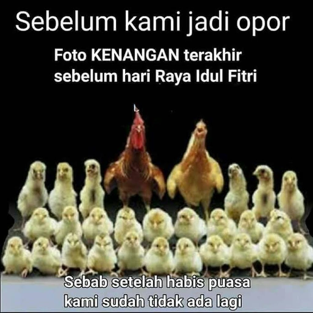 Meme Lucu Curhatan Saat Lebaran Foto 5