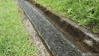 Menurut arti kata, Subak diambil dari bahasa Bali yang memiliki arti sealiran. Dari sumbernya, air dialirkan ke dalam sistem irigasi yang mengarah ke sawah-sawah para petani (Randy/detikTravel)