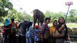 Lebaran, Ragunan Dipadati Pengunjung