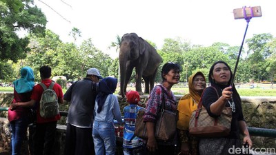 Lebaran, Ragunan Dipadati Pengunjung