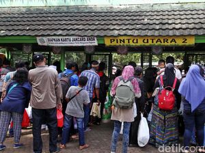 Dikritik Netizen Soal Satwa Tak Terurus, Ragunan Menjawab