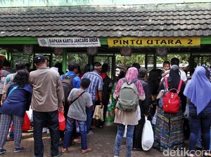 Dikritik Netizen Soal Satwa Tak Terurus, Ragunan Menjawab
