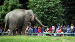 Lebaran, Ragunan Dipadati Pengunjung