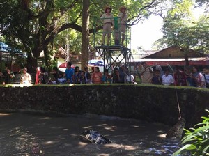 Serunya Menonton Pemberian Makan Buaya di KBS