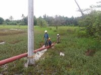 Foto: Perjuangan Listriki Desa di Pedalaman Kalimantan 