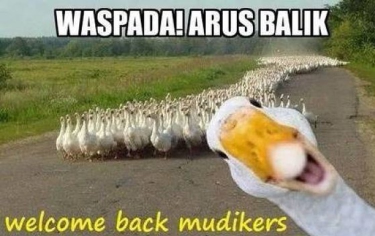 Meme Arus Balik