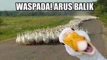 Waspada arus balik ke mantan. Foto: istimewa