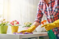 Pasangan di New York Sedang Mencari Pekerja Rumah dengan Gaji 2 M Setahun