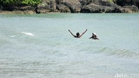 Keduanya tampak senang dan menikmati suasana sore hari di Jimbaran. Pantai di Jimbaran memang dikenal indah dengan air lautnya yang tenang(Randy/detikTravel)