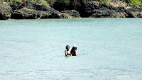 Dengan memakai setelan bikini, dan swimsuit one piece mereka asyik bermain air dan berendam di laut Jimbaran yang tenang. Tampak keduanya menikmati aktivitas liburan yang sederhana tersebut (Randy/detikTravel)