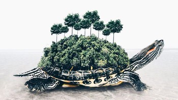 Foto: Instagram @hey.luisa