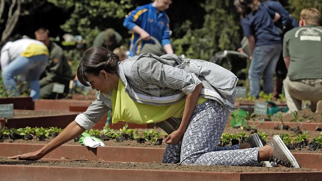 Padukan parka, blouse kuning, celana penuh motif, dengan sneakers Converse, Michelle Obama tampil stylish saat berkebun di taman Gedung Putih. (Foto: Getty Images)