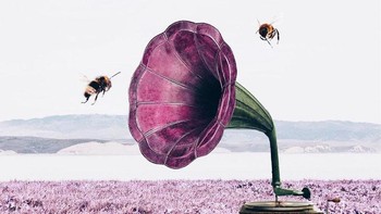 Saya mencoba menciptakan dunia seperti mimpi melalui foto-foto saya. Saya percaya tidak ada batasan untuk kreativitas dan imajinasi, yakinnya. Foto: Instagram @hey.luisa