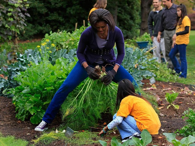 Michelle Obama kembali berkebun dengan sneakers kesayangannya. Foto: Getty Images