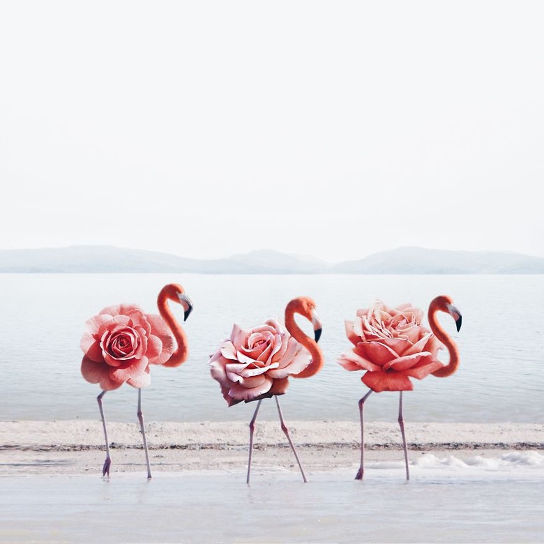 40 Gambar Keren Yang Ada Di Instagram Gratis Terbaik