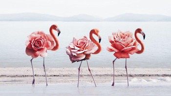 Instagram @hey.luisa saat ini punya 67 ribu lebih follower. Tercatat ada lebih dari 674 postingan hingga saat ini.  Foto: Instagram @hey.luisa