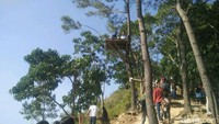 Spot lainnya yaitu semacam gardu pandang yang dibangun di atas pepohonan. Karena banyak peminatnya, traveler harap antre yang tertib ya untuk menunggu giliran (Usman Hadi/detikTravel)