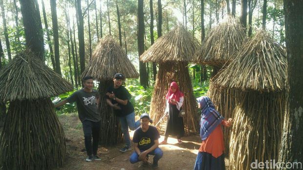 Spot selfie Rumah Jamur (Usman Hadi/detikTravel)