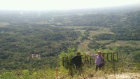 Selain spot-spot selfie keren tadi, dari Puncak Becici traveller bisa melihat pemandangan indah nan hijau yang terhampar luas. Rasanya segar dan menyejukkan. Bikin stress jadi hilang! (Usman Hadi/detikTravel)