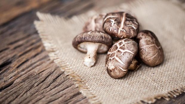 Shiitake mushroom on sackcloth and wooden background